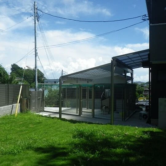 画像1624：ワンちゃんの為にテラス屋根