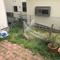 画像1661：家とお庭をつなぐガーデンルーム