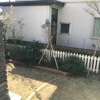 画像1746：家とお庭をつなぐガーデンルーム